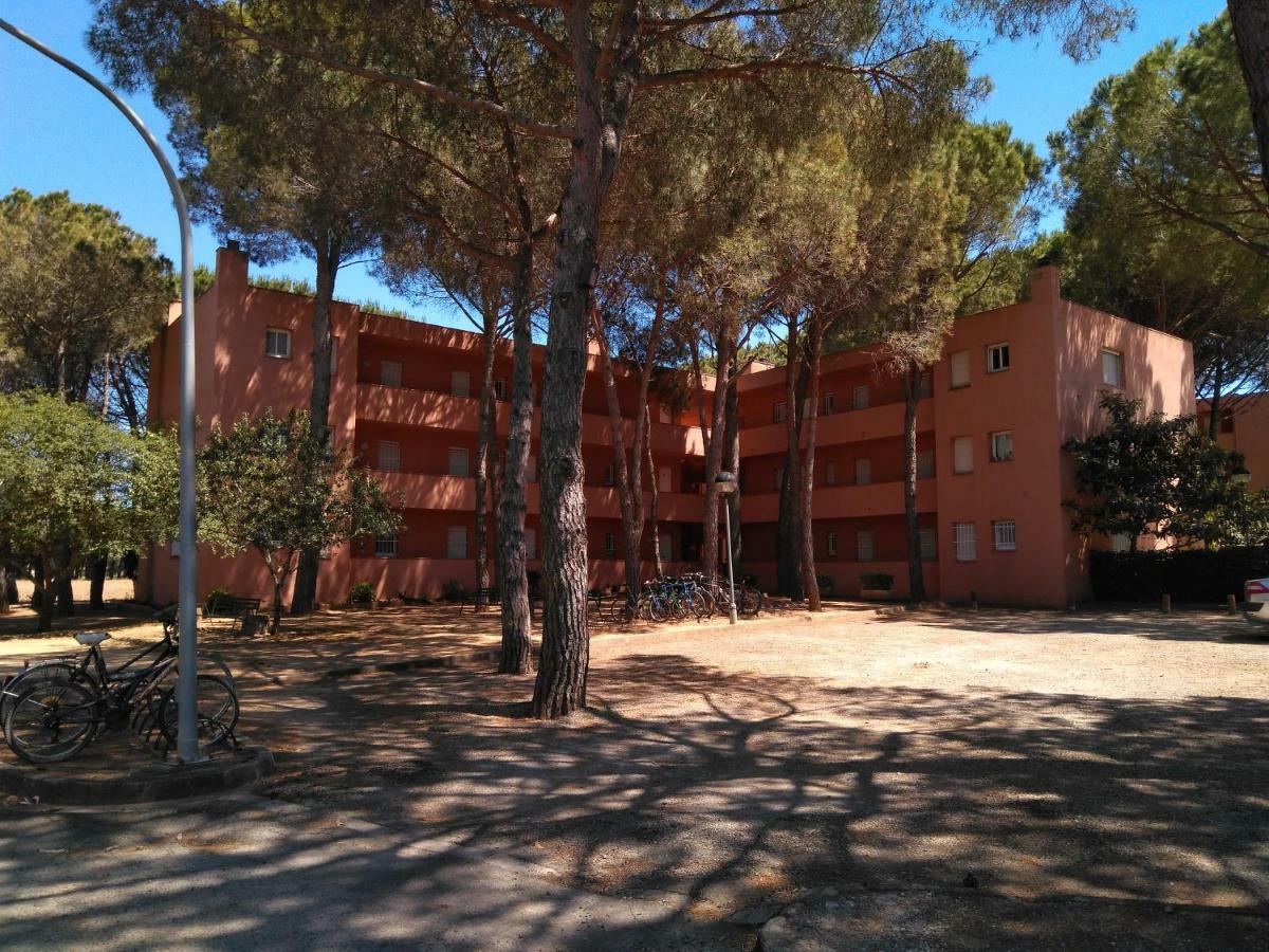 Bonito Apartamento, Con Piscina, Excelente Wifi Y Aire Acondicionado Pals Eksteriør billede